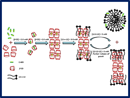 calf thymus DNA by a potential one-head-two-tail surfactant