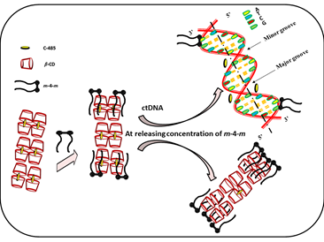 calf thymus DNA by a potential one-head-two-tail surfactant