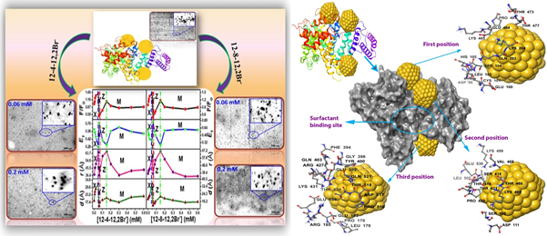 calf thymus DNA by a potential one-head-two-tail surfactant