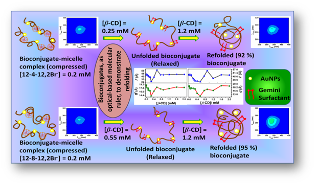 calf thymus DNA by a potential one-head-two-tail surfactant