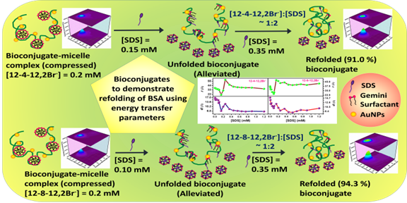 calf thymus DNA by a potential one-head-two-tail surfactant