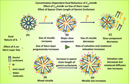 calf thymus DNA by a potential one-head-two-tail surfactant