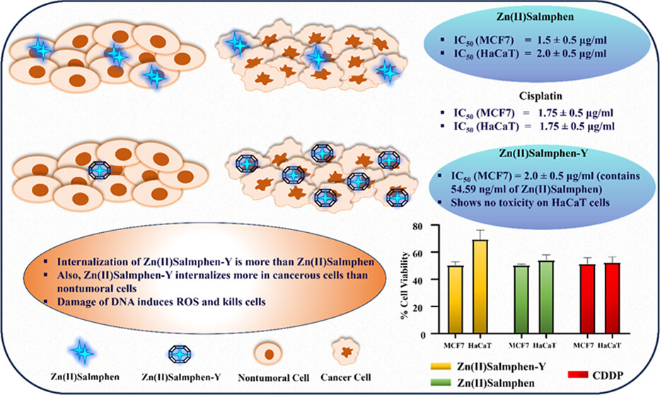 ACS-Appl-Mater-Interfaces