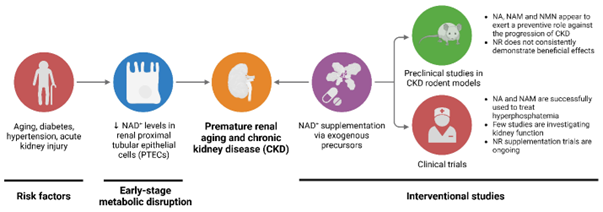 Biomarkers