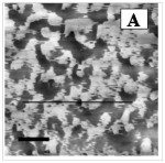 Liquid Crystals at Interfaces