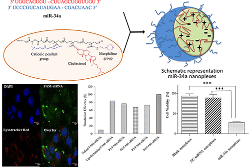 Novel polymers and lipids for drug and gene (miRNAsiRNA) co-delivery application