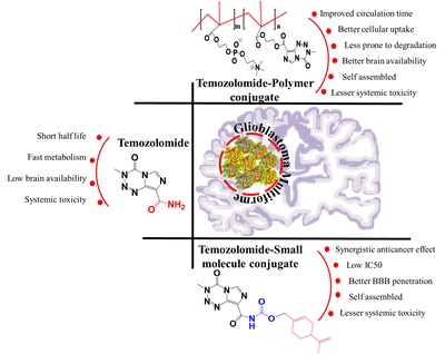 Small molecule and polymer drug conjugates