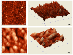 Surface morphology of TiO2 thin film.