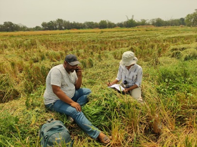 Invest in Sustainable Farming and Get Tax Free Returns