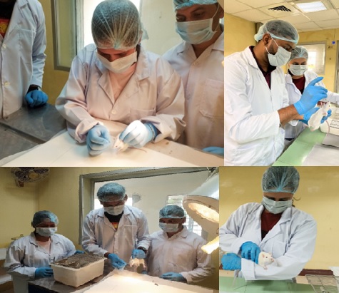 Laboratory Animal Science(LAS)