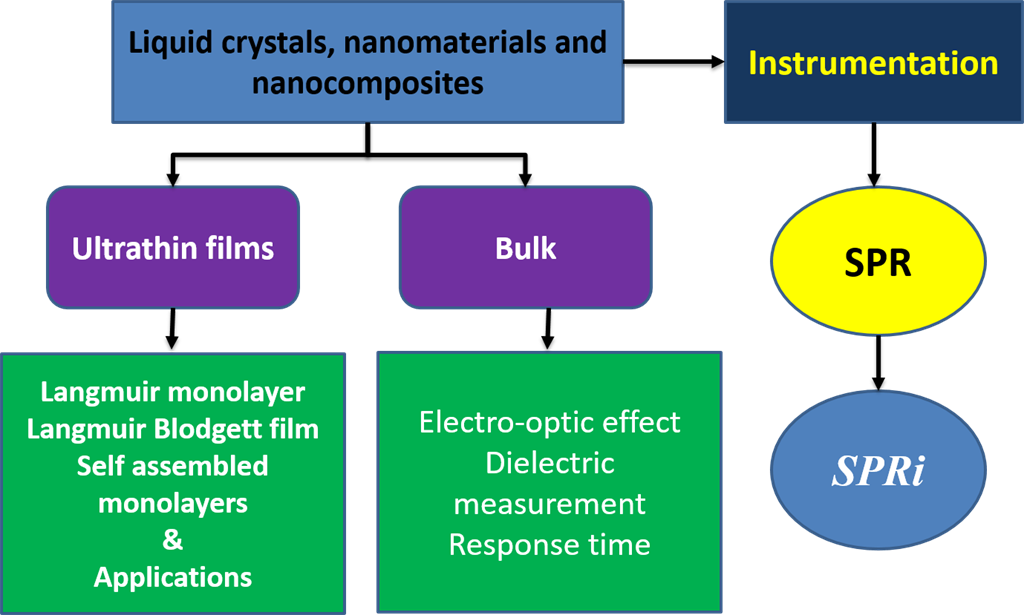 research_areas_prof_raj